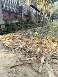 mehedi_hot webcam model stream image