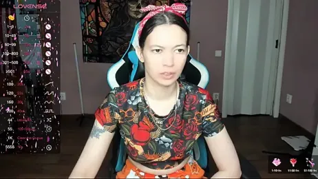 Project_hisoka webcam model stream image