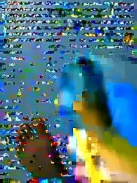 _Tamil_Alx_ webcam model stream image