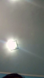 Brunapimentinha webcam model stream image