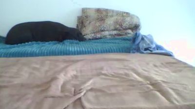 kalus87 webcam model stream image
