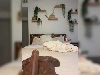 StonyPony webcam model stream image