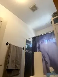 RacccoonBaby07 webcam model stream image