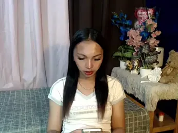 SimiLause webcam model stream image