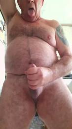 Maqui473 预览图