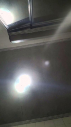 Bhsd webcam model stream image