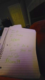 Lark22 webcam model stream image