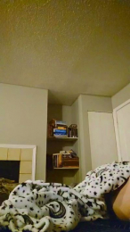 Lark22 webcam model stream image