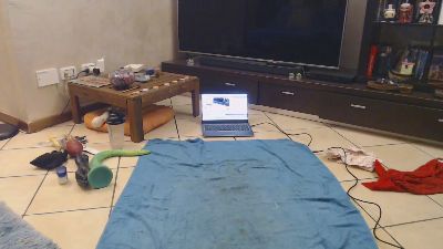 pigfagcunt webcam model stream image