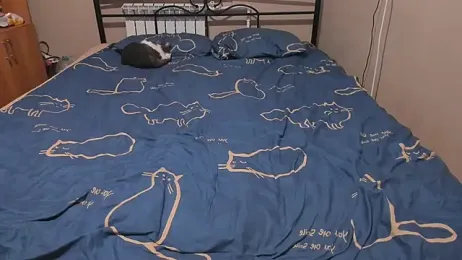 eva_zero webcam model stream image