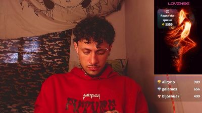 codenok webcam model stream image