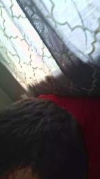 thisstraightbo1 webcam model stream image