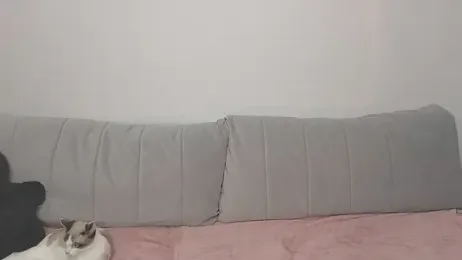 VikiSea webcam stripchat model stream image