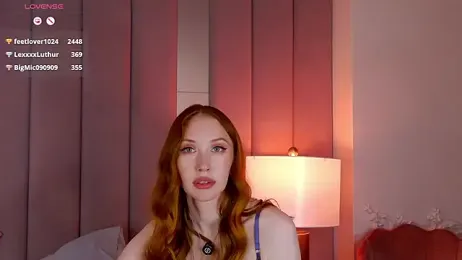 MayaSolar webcam model stream image