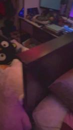 SesbianLex webcam model stream image