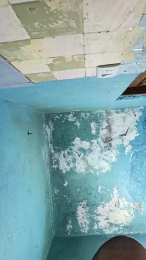 Pollaaac4 webcam model stream image