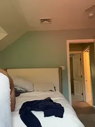 plaintreebull webcam model stream image