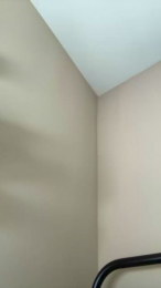 cumNmebby webcam model stream image