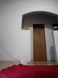 catdool webcam model stream image