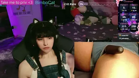 BimboCat webcam stripchat model stream image