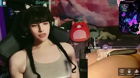 BimboCat webcam model stream image