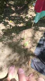 Potosexe webcam model stream image