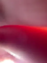 Sintaro19 webcam model stream image