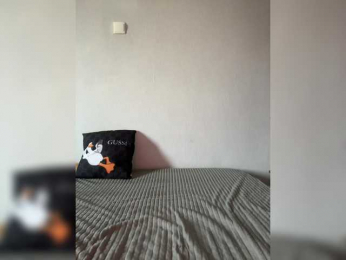 Saliss1 webcam model stream image