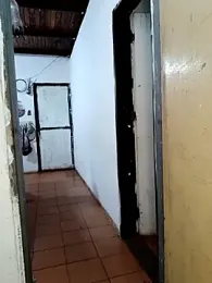 Tequilamaster webcam model stream image