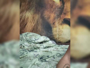 Mask_show webcam model stream image