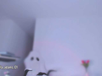 bella-adams webcam model stream image