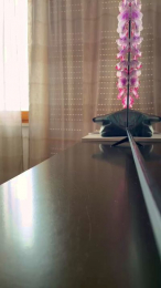 Giadarossi webcam model stream image