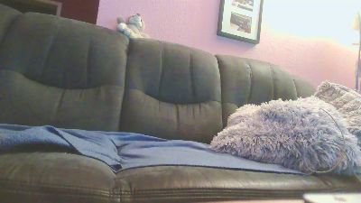 foxx1234 webcam model stream image