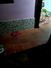 Alondra29 webcam model stream image