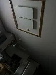 pkl030 webcam model stream image
