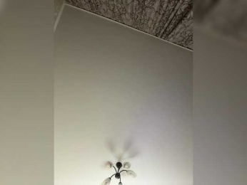 HellMor webcam model stream image