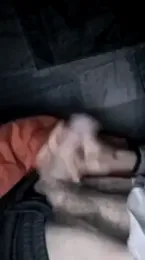 Dani_el82@xh webcam model stream image