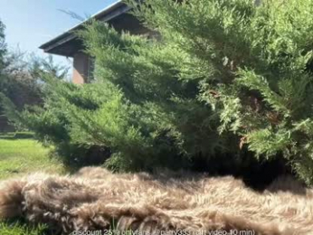 patry333 webcam model stream image