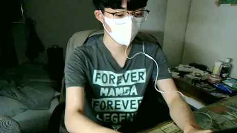 max5388 webcam model stream image