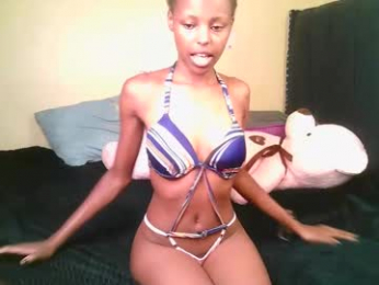 trazic_ webcam model stream image