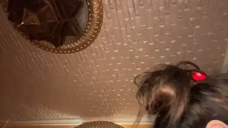 VICTORIA89 webcam model stream image