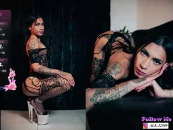 ale_2509 webcam model stream image