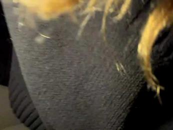 BundtAmely webcam model stream image