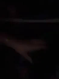 BabyNila webcam model stream image