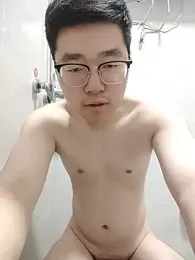 gscdc265 webcam model stream image