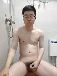 gscdc265 webcam model stream image