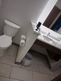 2HandsLong webcam model stream image