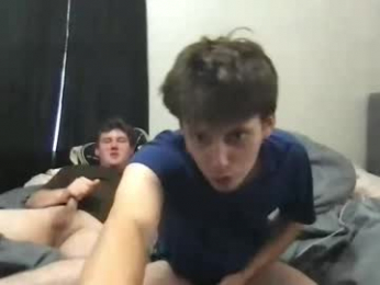 d_dart webcam model stream image