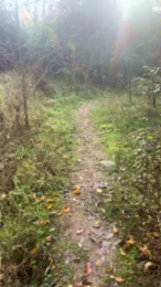 porcobg18 webcam model stream image