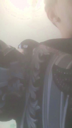 Angelitoandres webcam model stream image